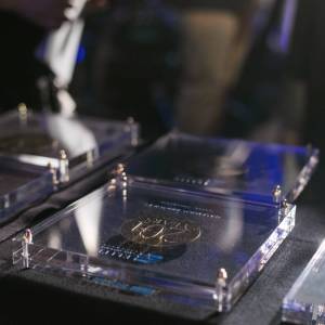 Tailored Awards for Elite City Resort