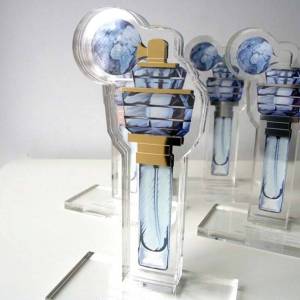 PairFUME tailored award