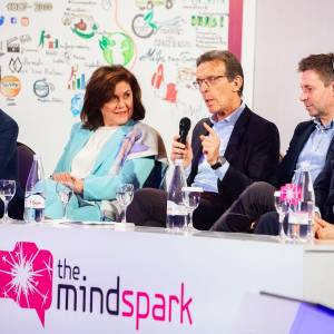 "The Mindspark"