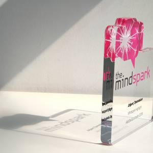 Tailored award for "The Mindspark"