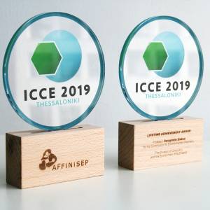 Tailored awards for ICCE 2019