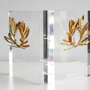 Coca Cola Awards tailored by Atrion