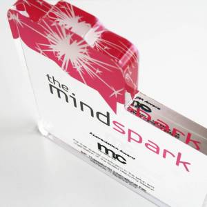 tailored award for the MINDSPARK