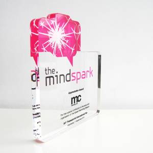 tailored award for the MINDSPARK