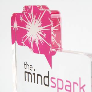 tailored award for the MINDSPARK