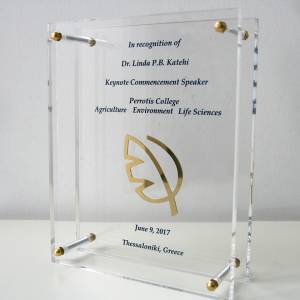 Ειδικά Σχεδιασμένο Βραβείο για το Perrotis College