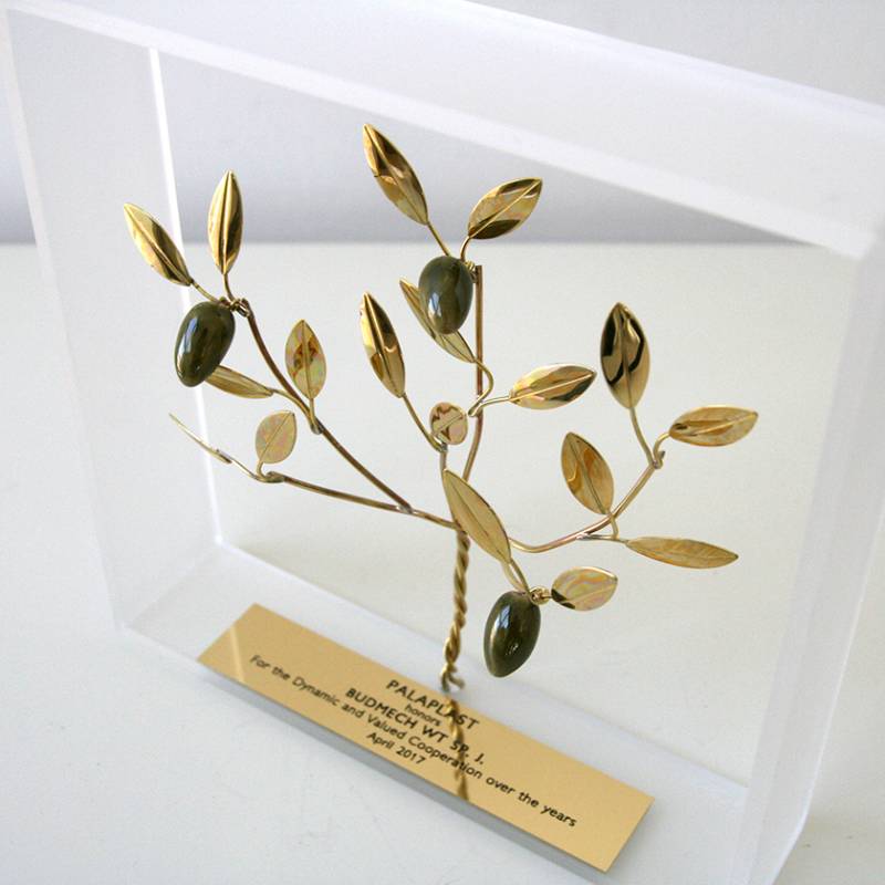 Olive Tree in a Frame - secondary