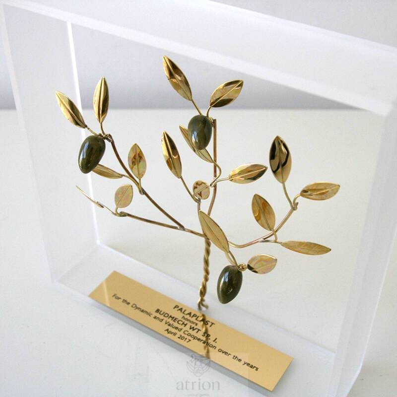 Olive Tree in a Frame